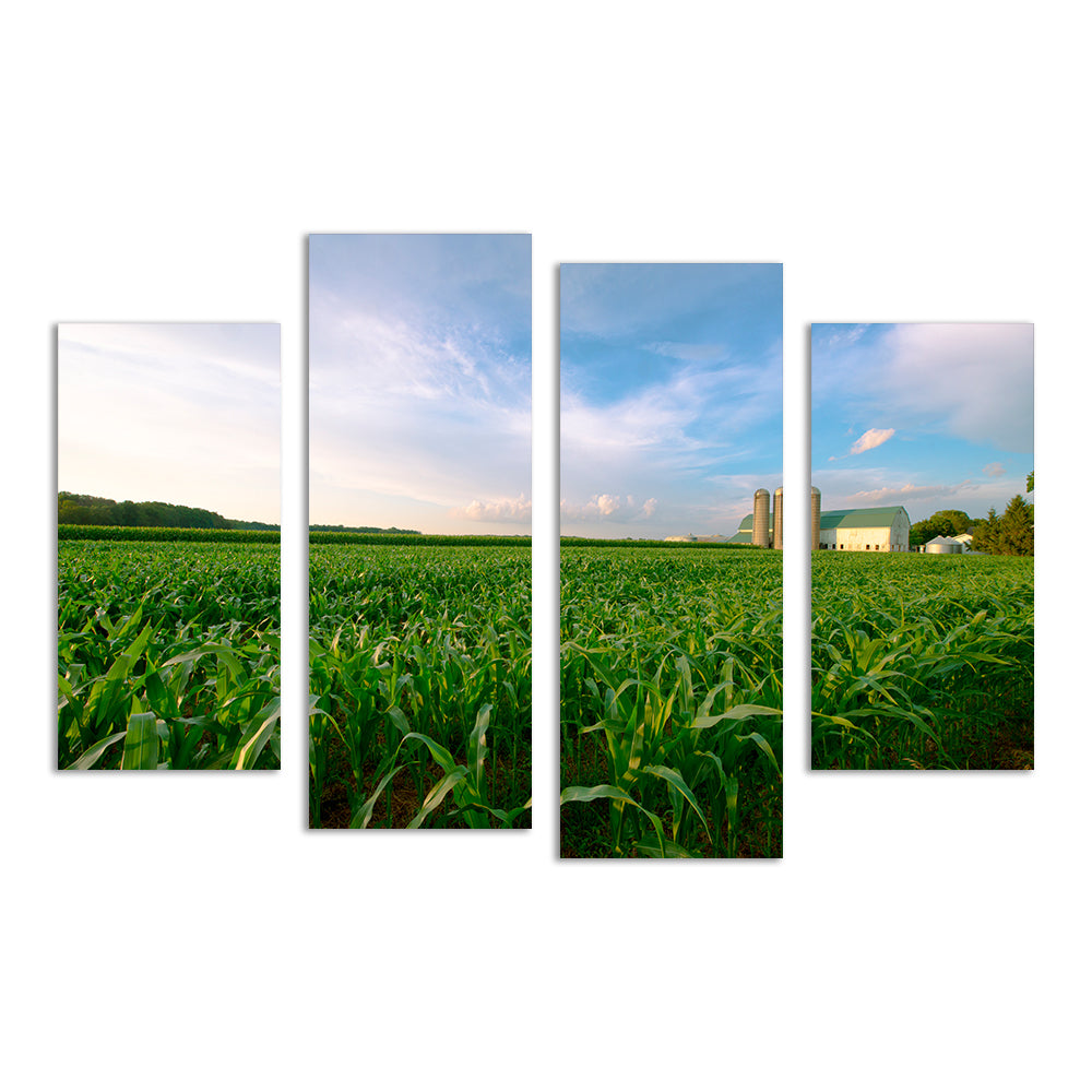 Wisconsin Dairy Farm By Field Of Corn Wall Art
