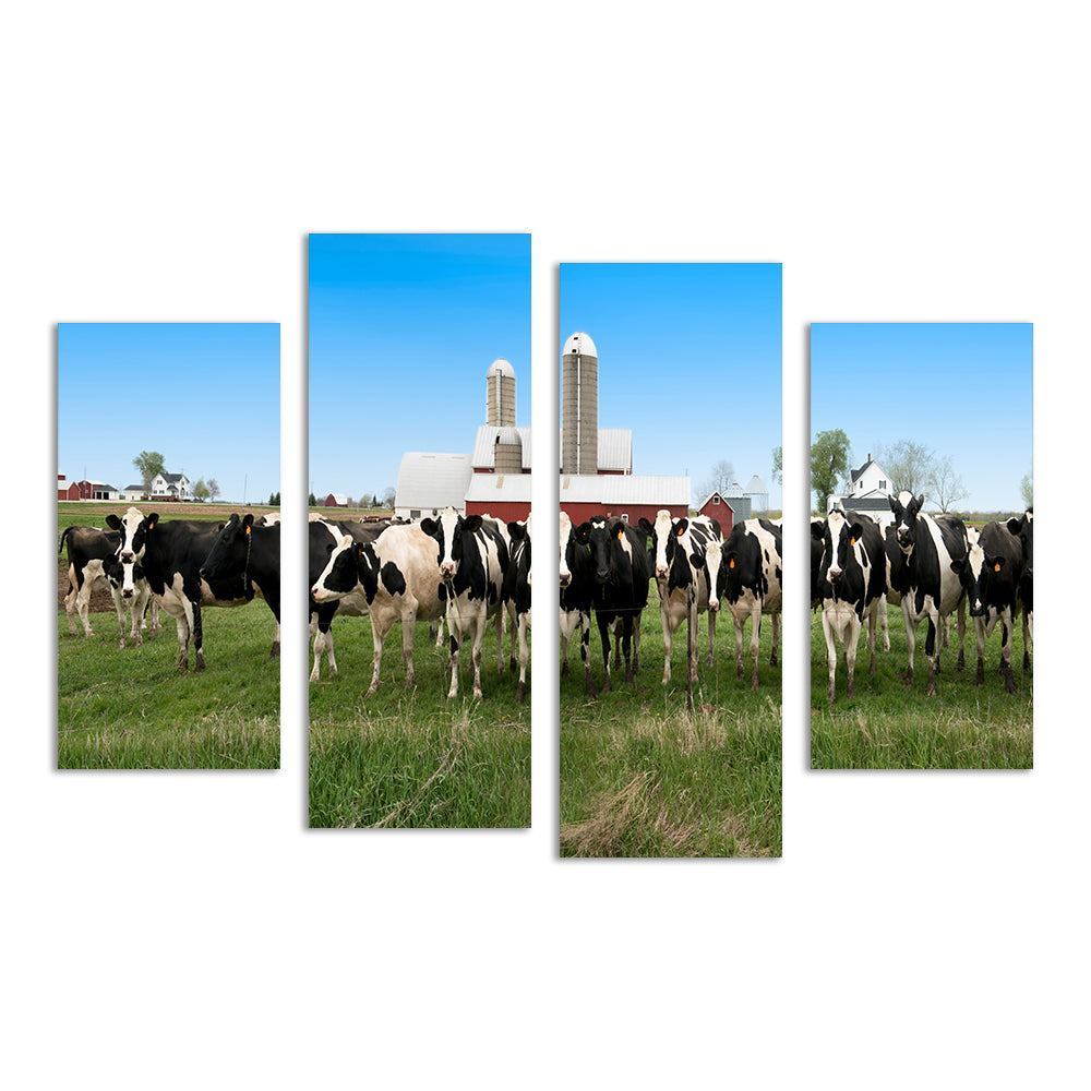 Wisconsin Dairy Cows Wall Art