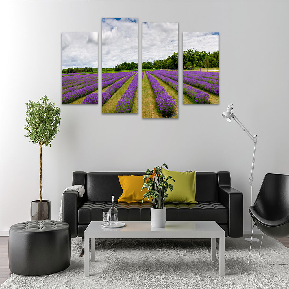 Lavender Rose Door County Wall Art