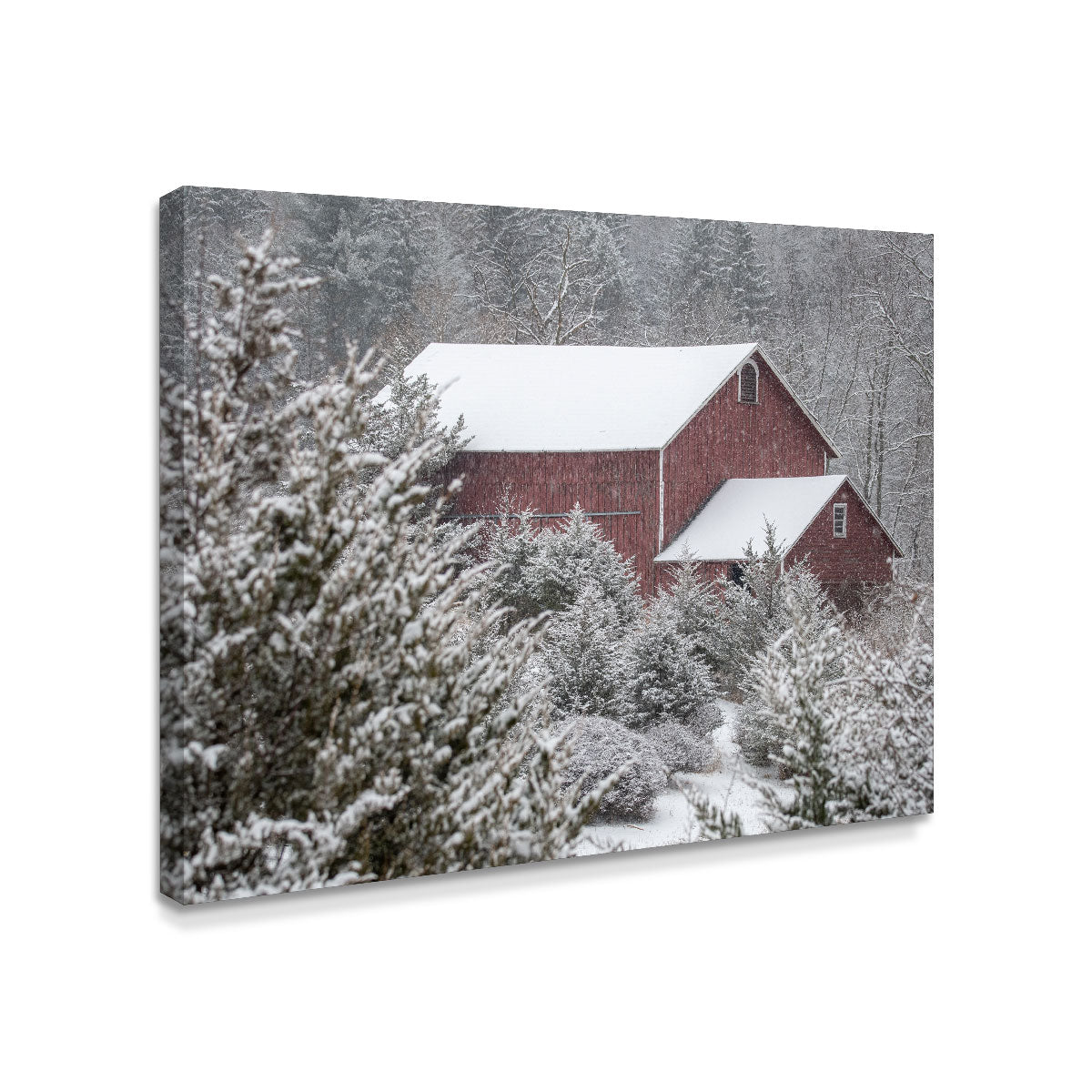 A Cold Silence Wall Art