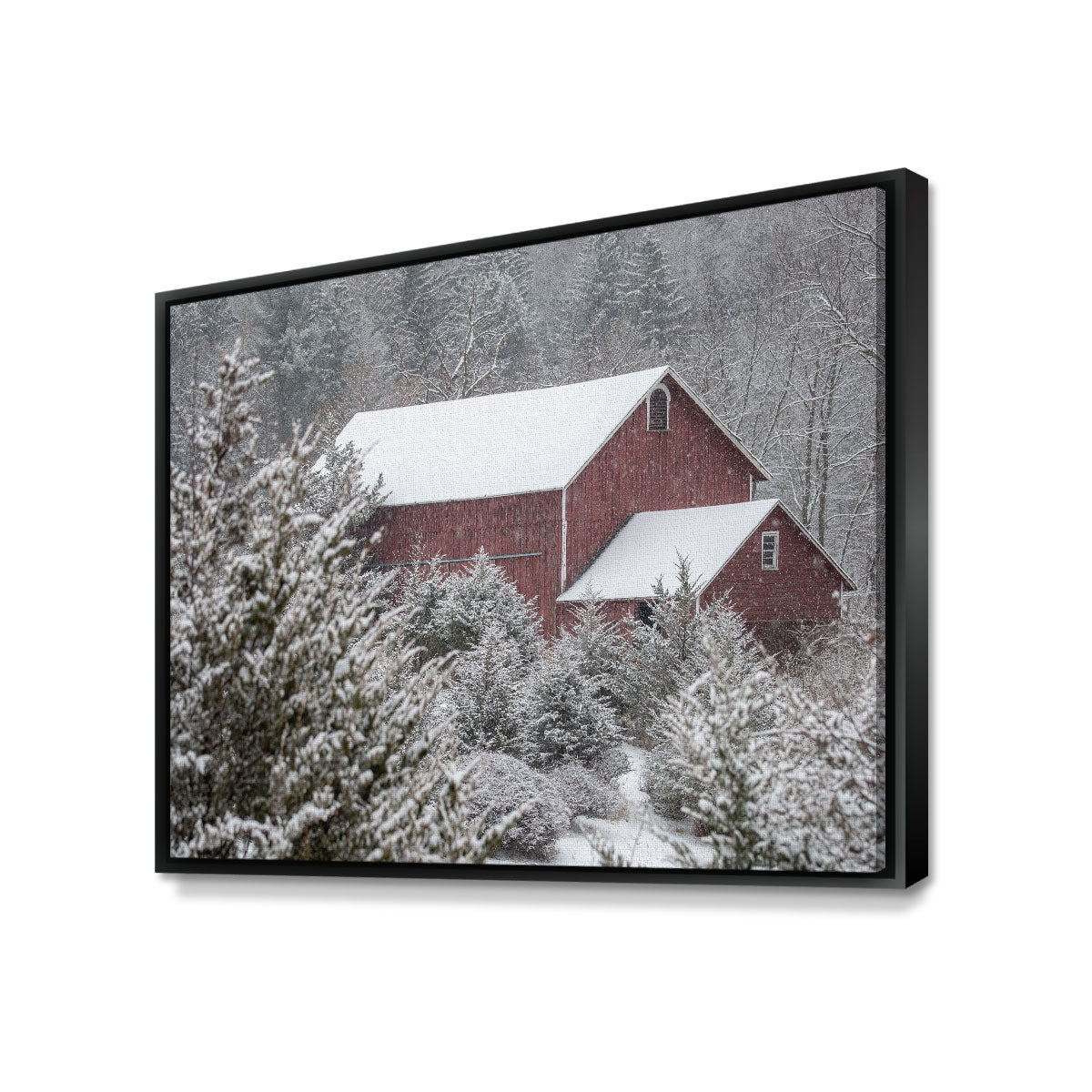 A Cold Silence Wall Art