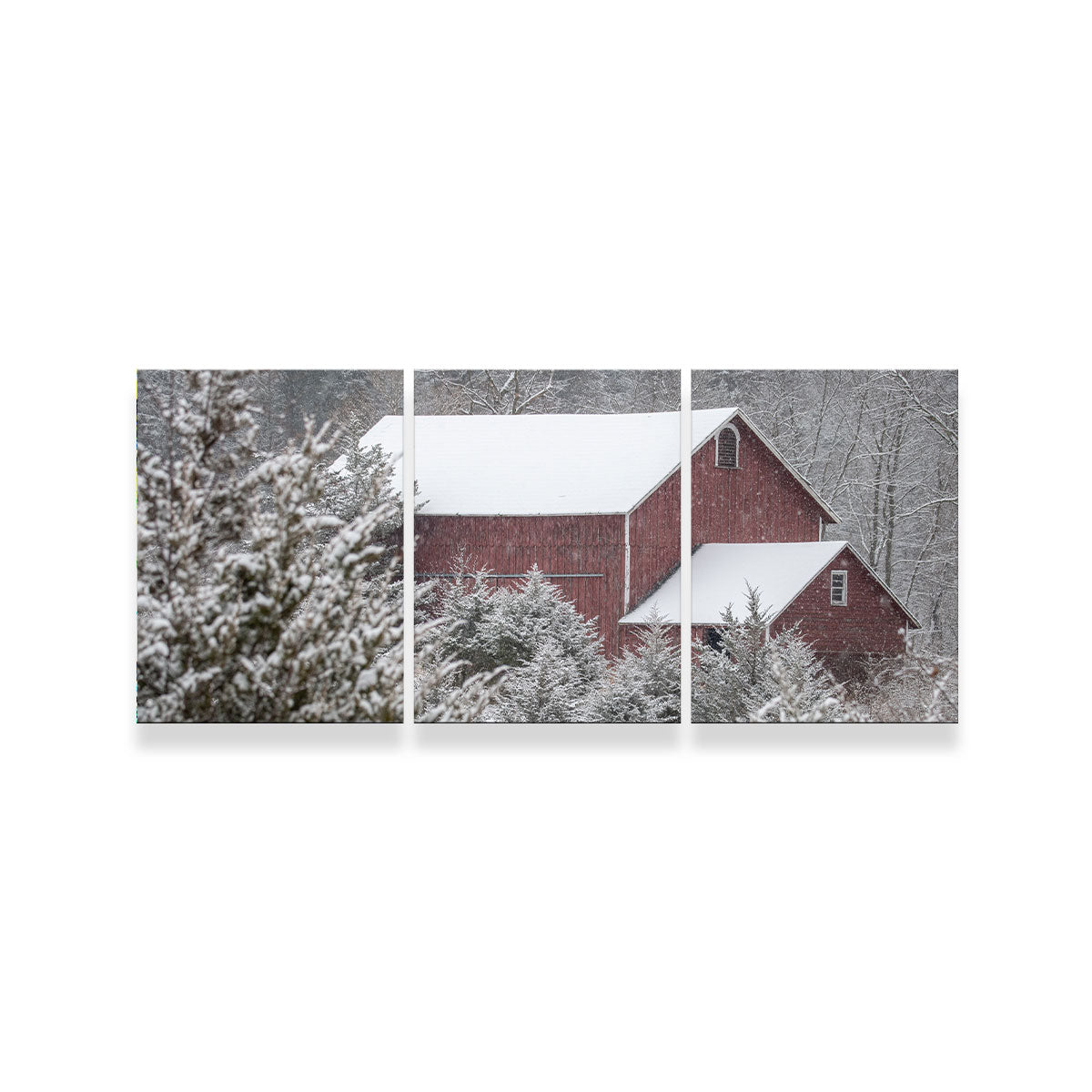 A Cold Silence Wall Art