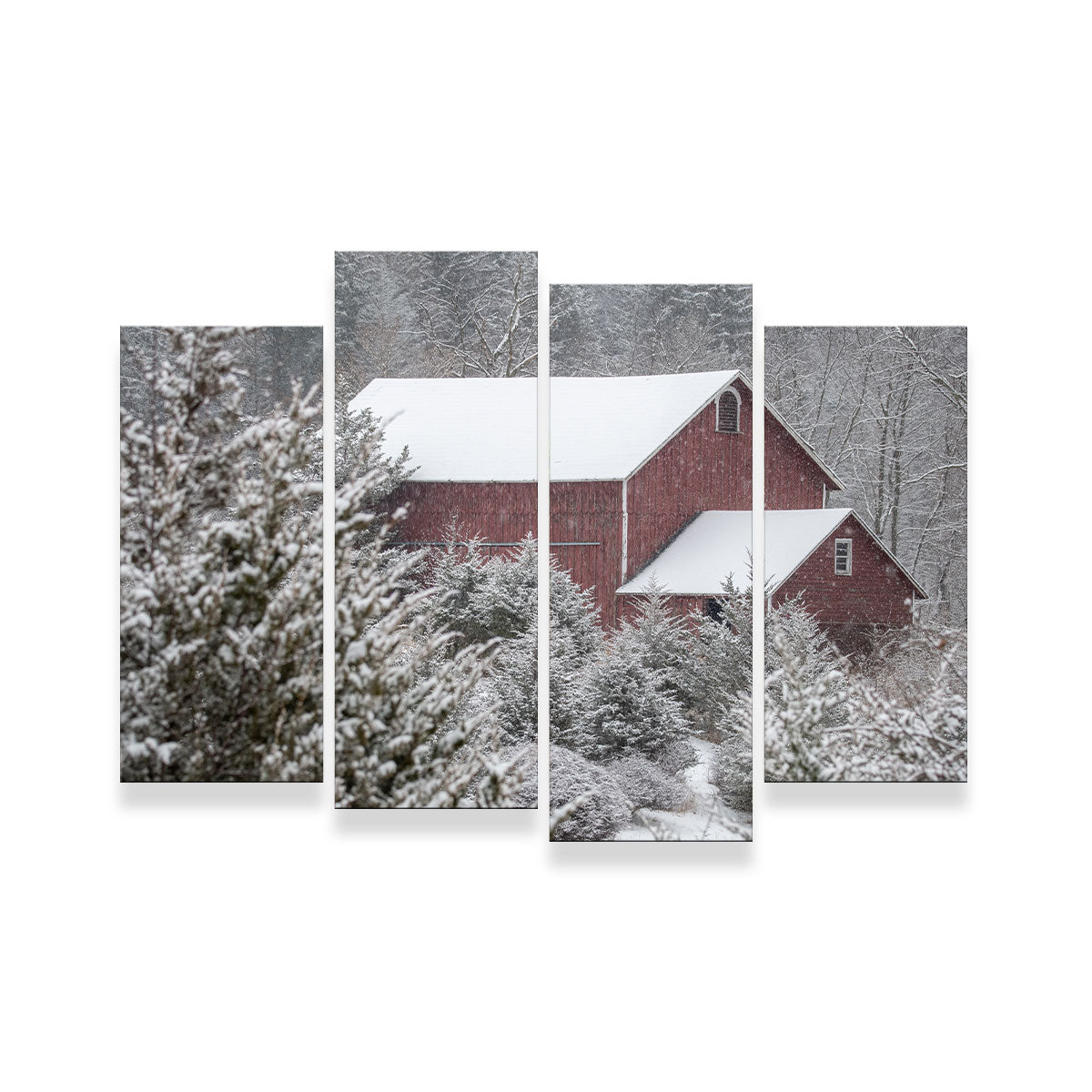 A Cold Silence Wall Art