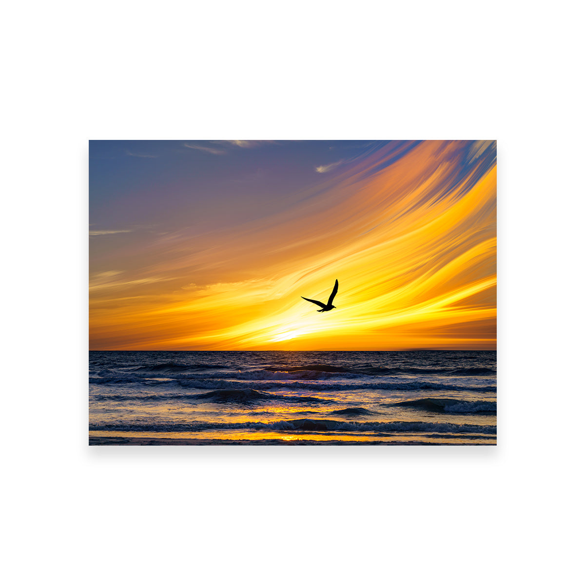 A Fly By Wall Art