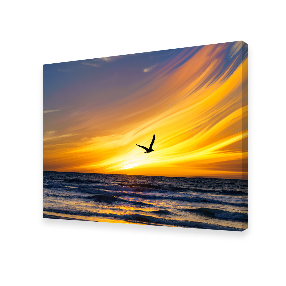 A Fly By Wall Art