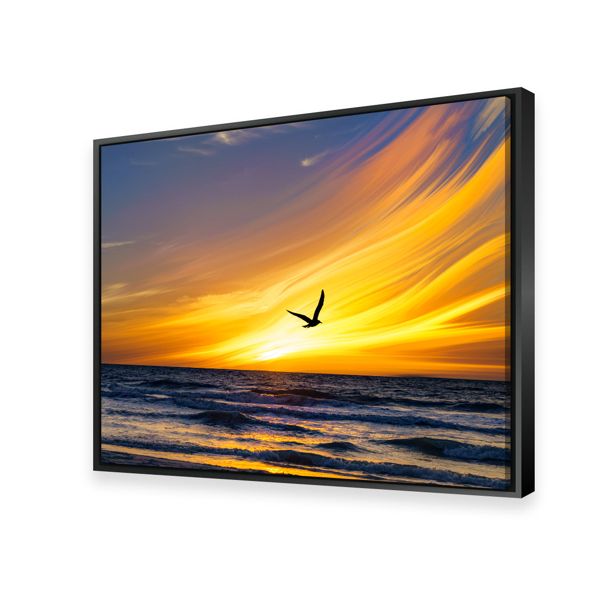 A Fly By Wall Art
