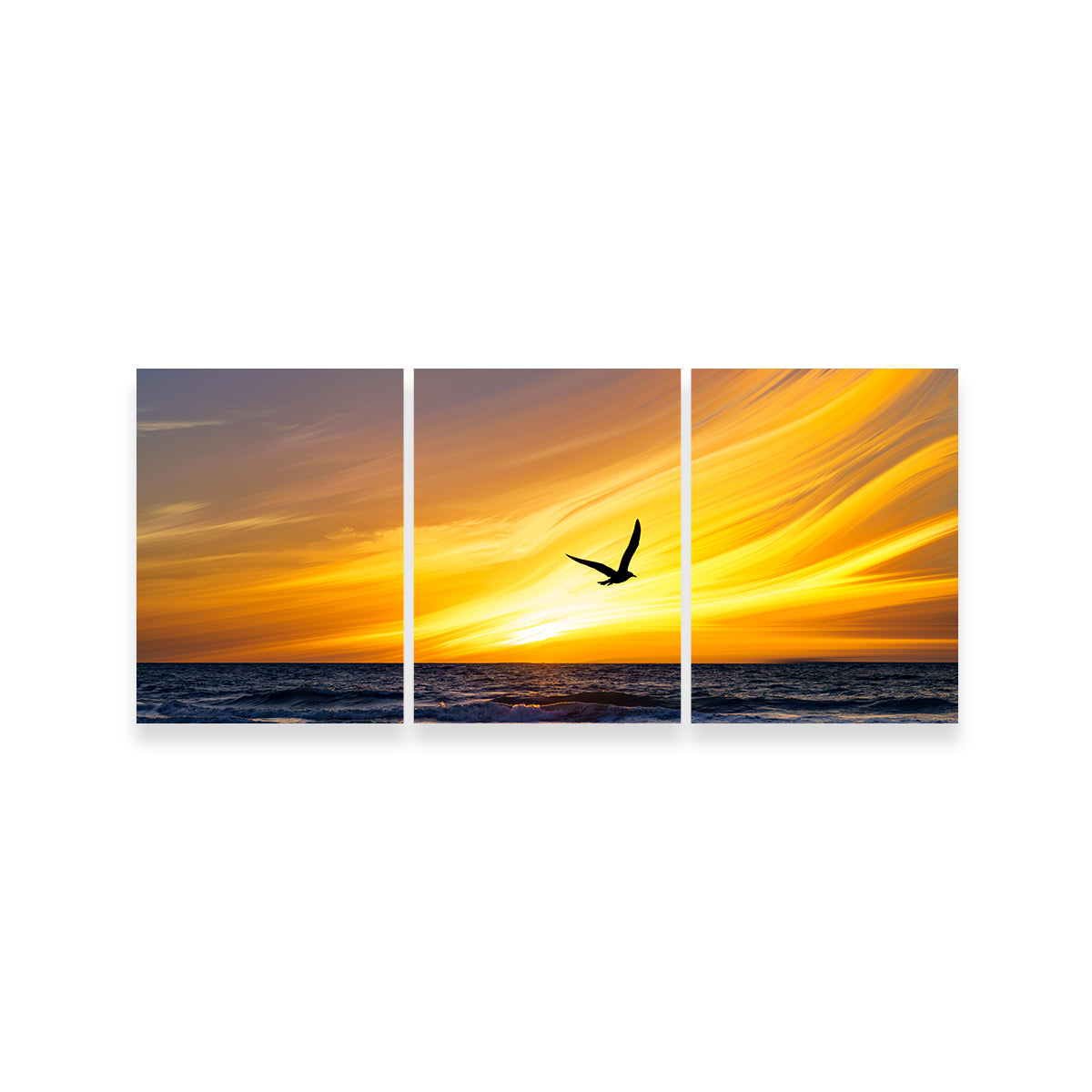A Fly By Wall Art