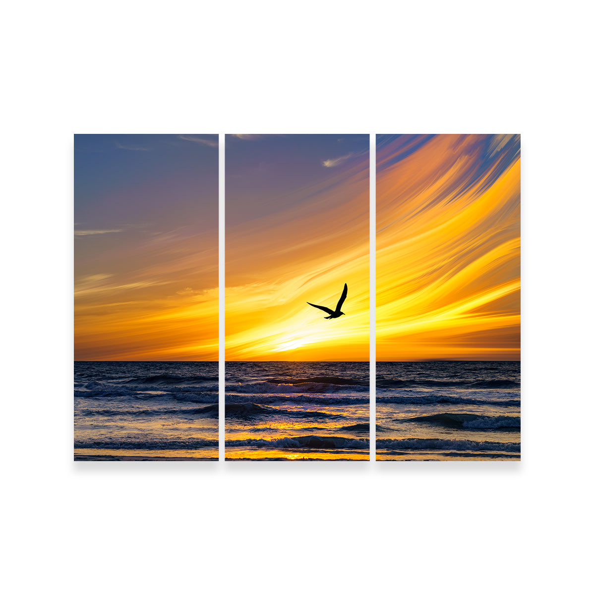 A Fly By Wall Art