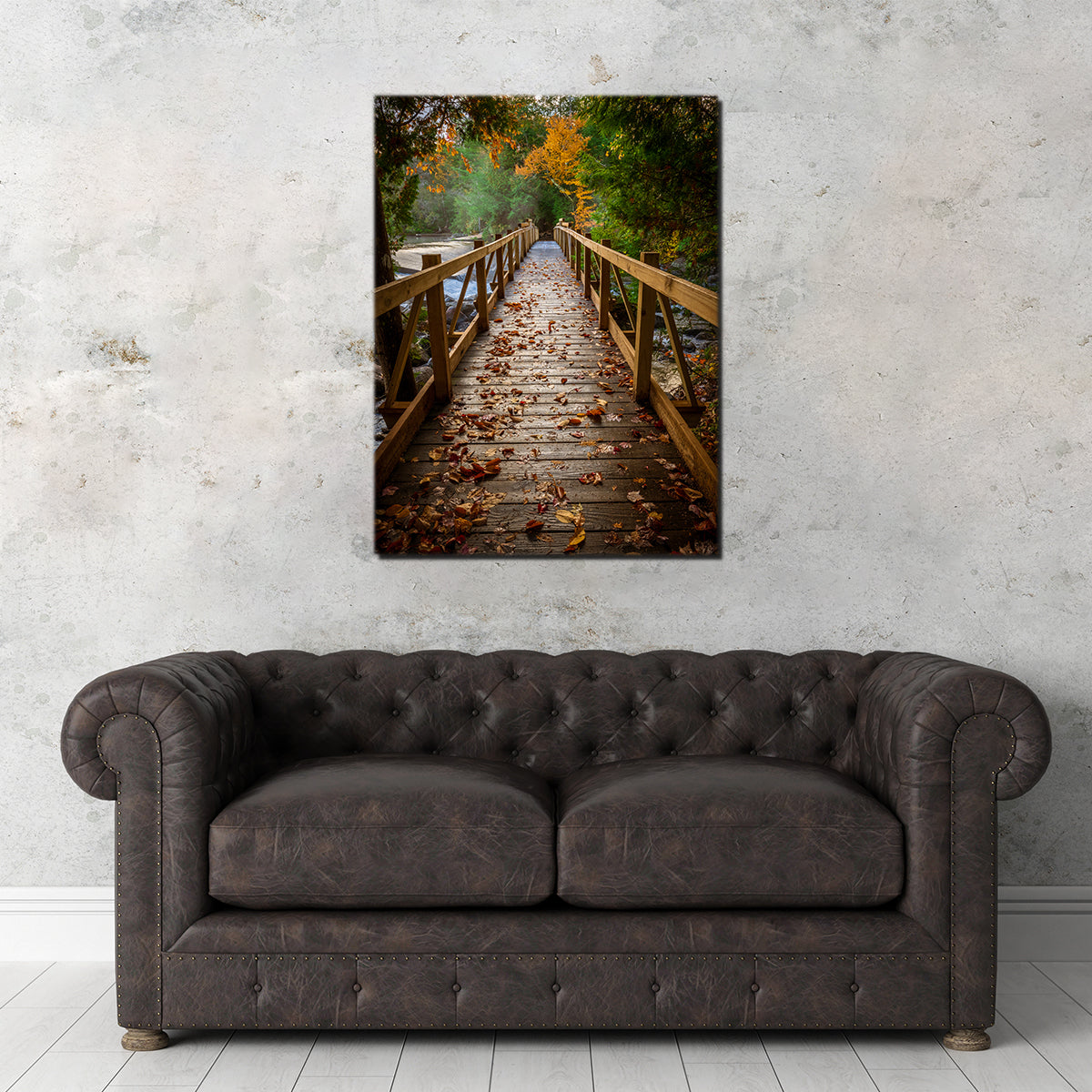 A Walk in the Woods Wall Art