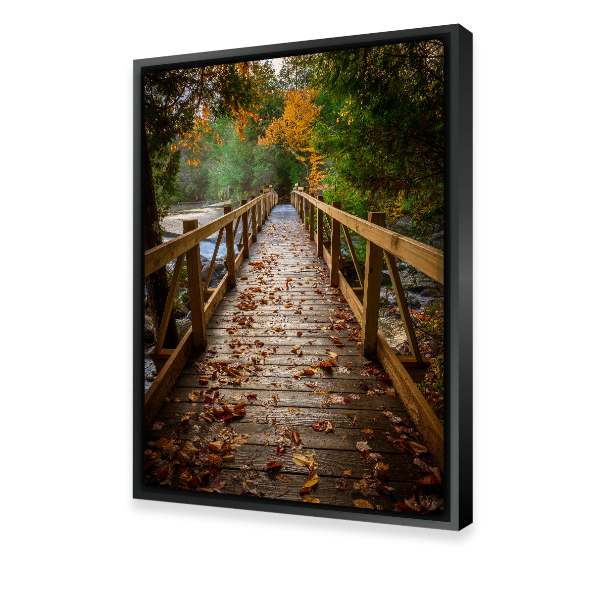 A Walk in the Woods Wall Art