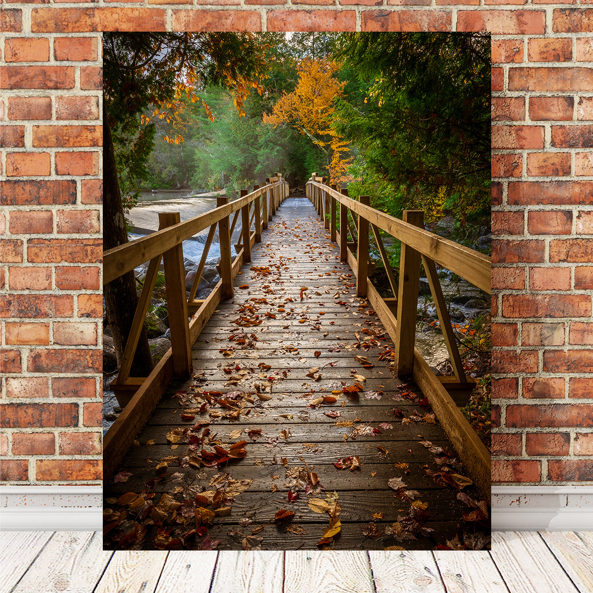 A Walk in the Woods Wall Art