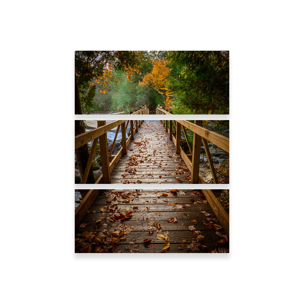 A Walk in the Woods Wall Art