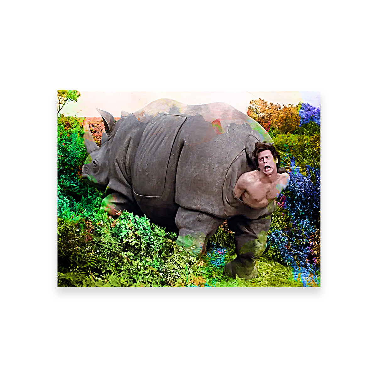 Ace Ventura Rhino Birth Wall Art