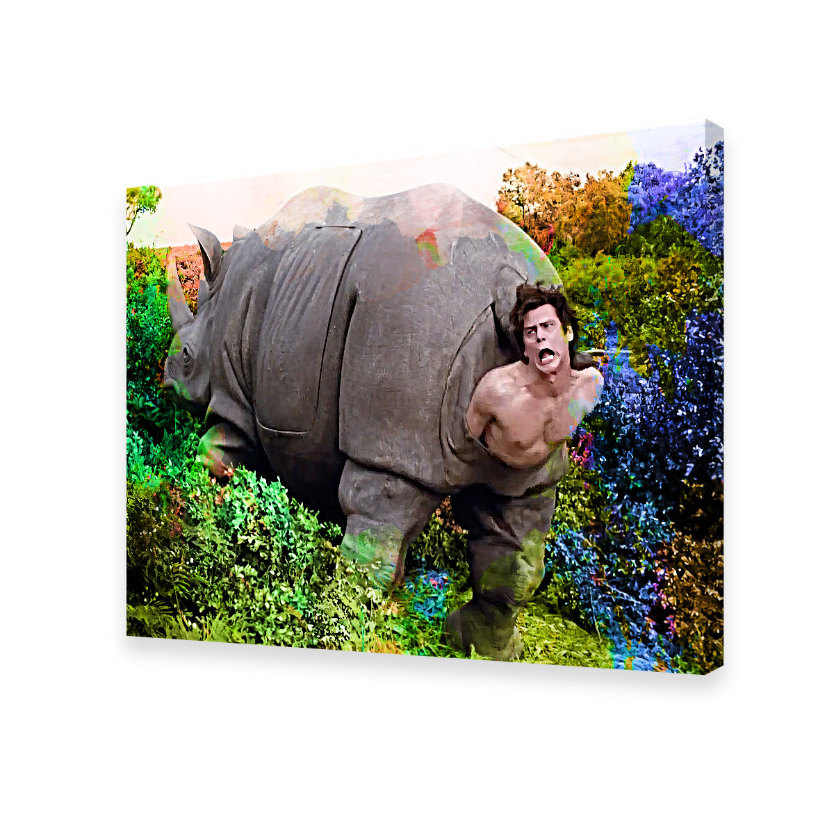 Ace Ventura Rhino Birth Wall Art