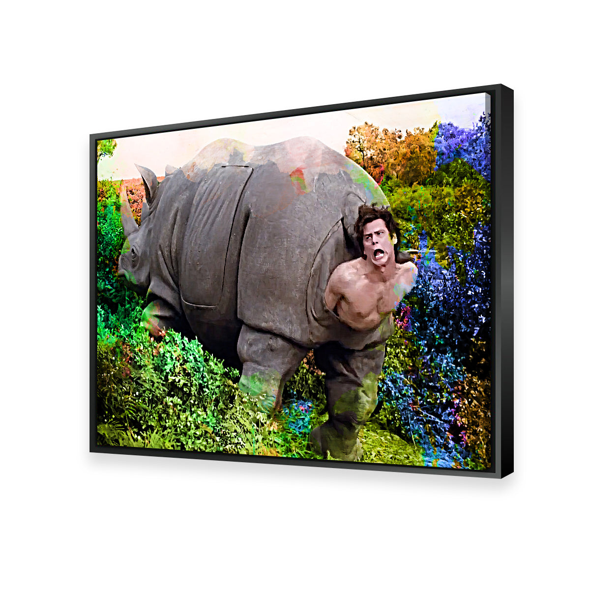Ace Ventura Rhino Birth Wall Art