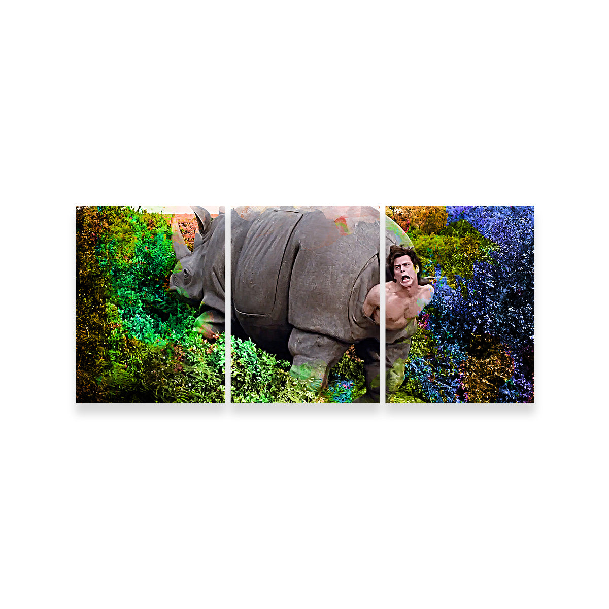 Ace Ventura Rhino Birth Wall Art