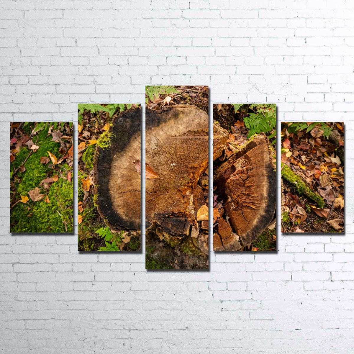 Adirondack Stump Wall Art
