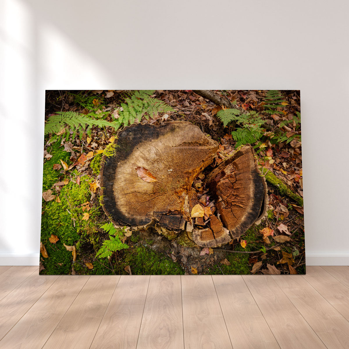 Adirondack Stump Wall Art