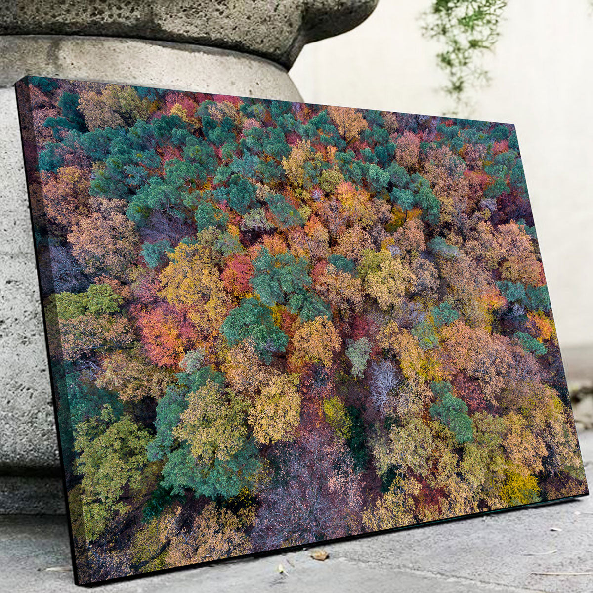 Aerial Fall Wall Art