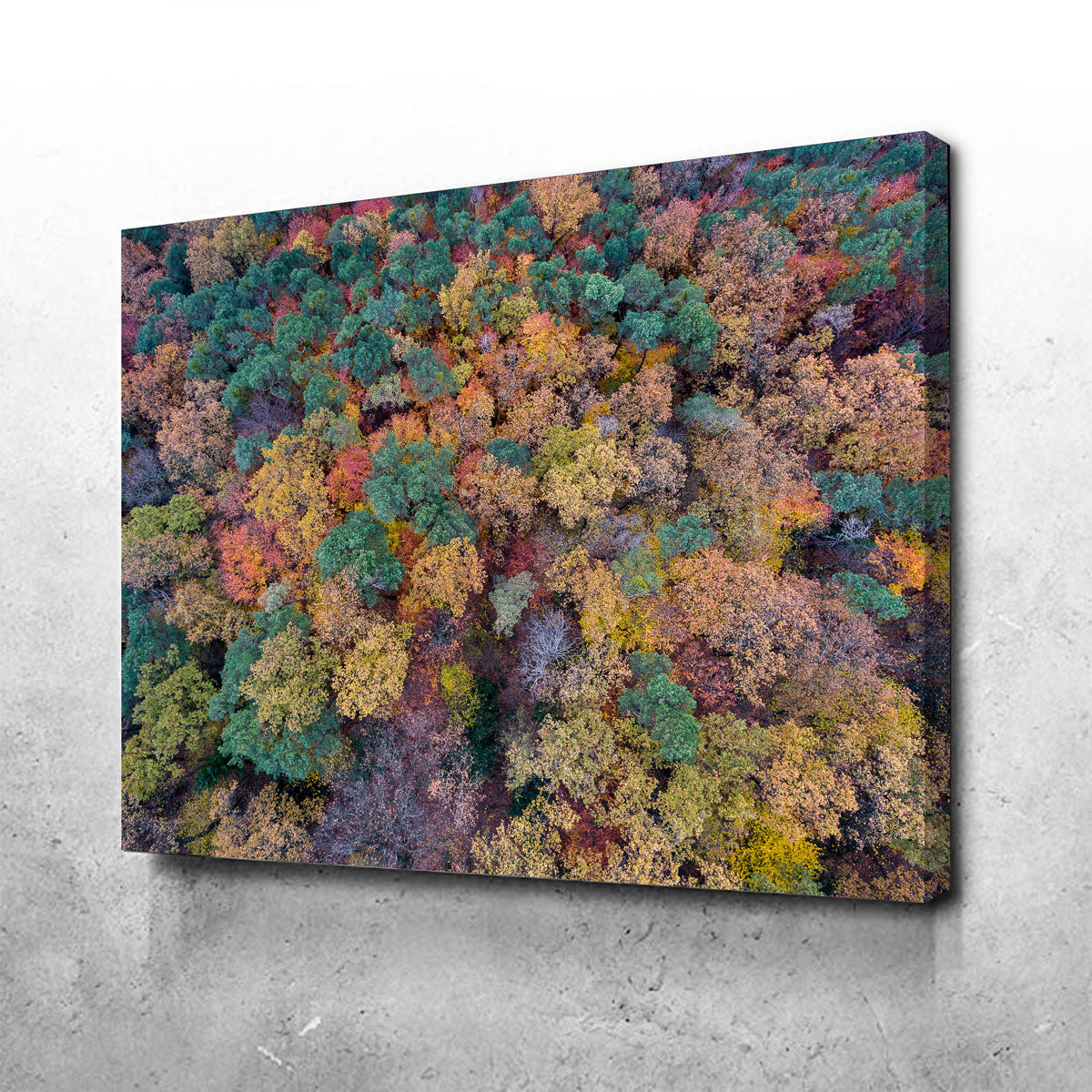 Aerial Fall Wall Art
