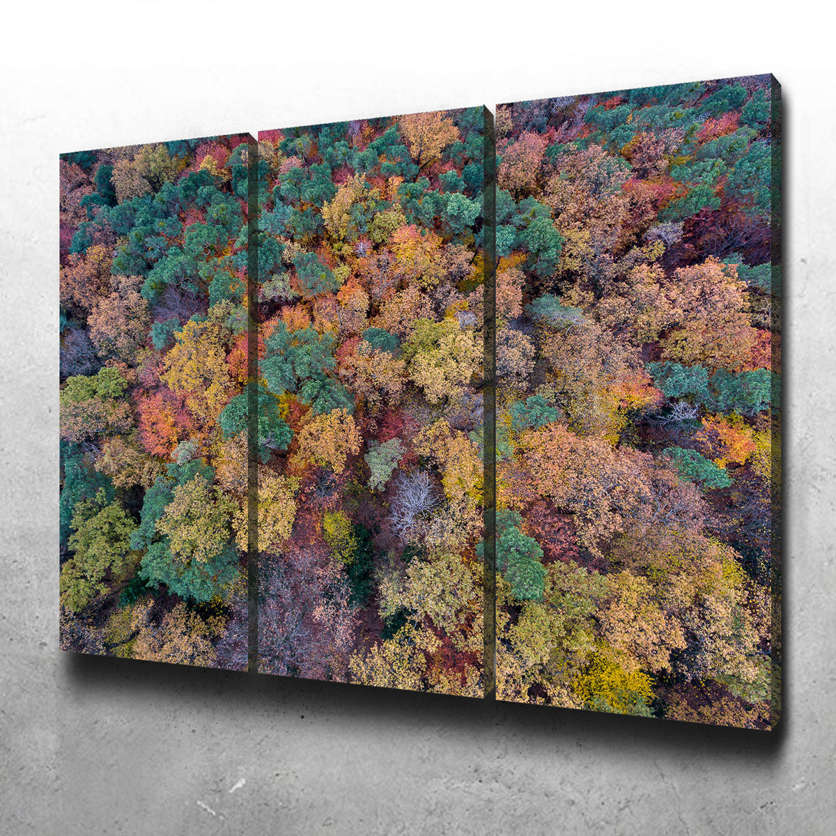 Aerial Fall Wall Art