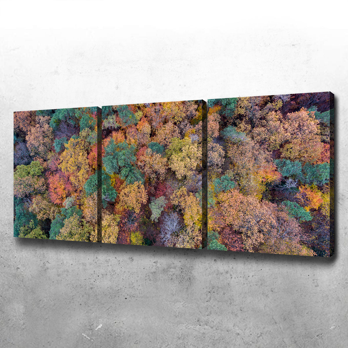 Aerial Fall Wall Art