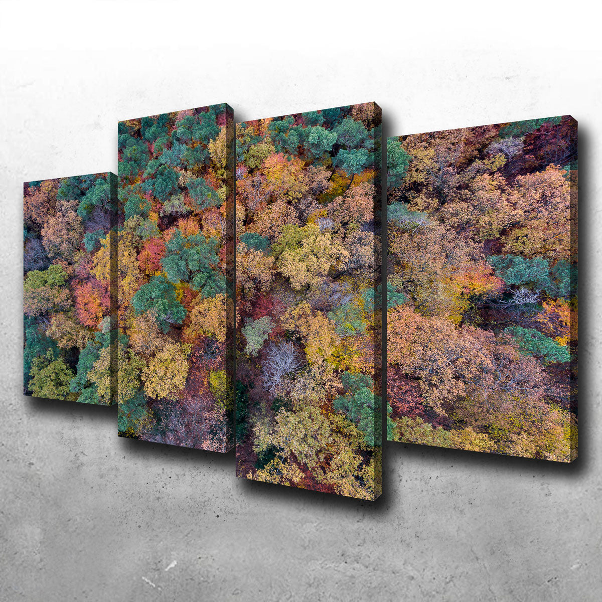 Aerial Fall Wall Art
