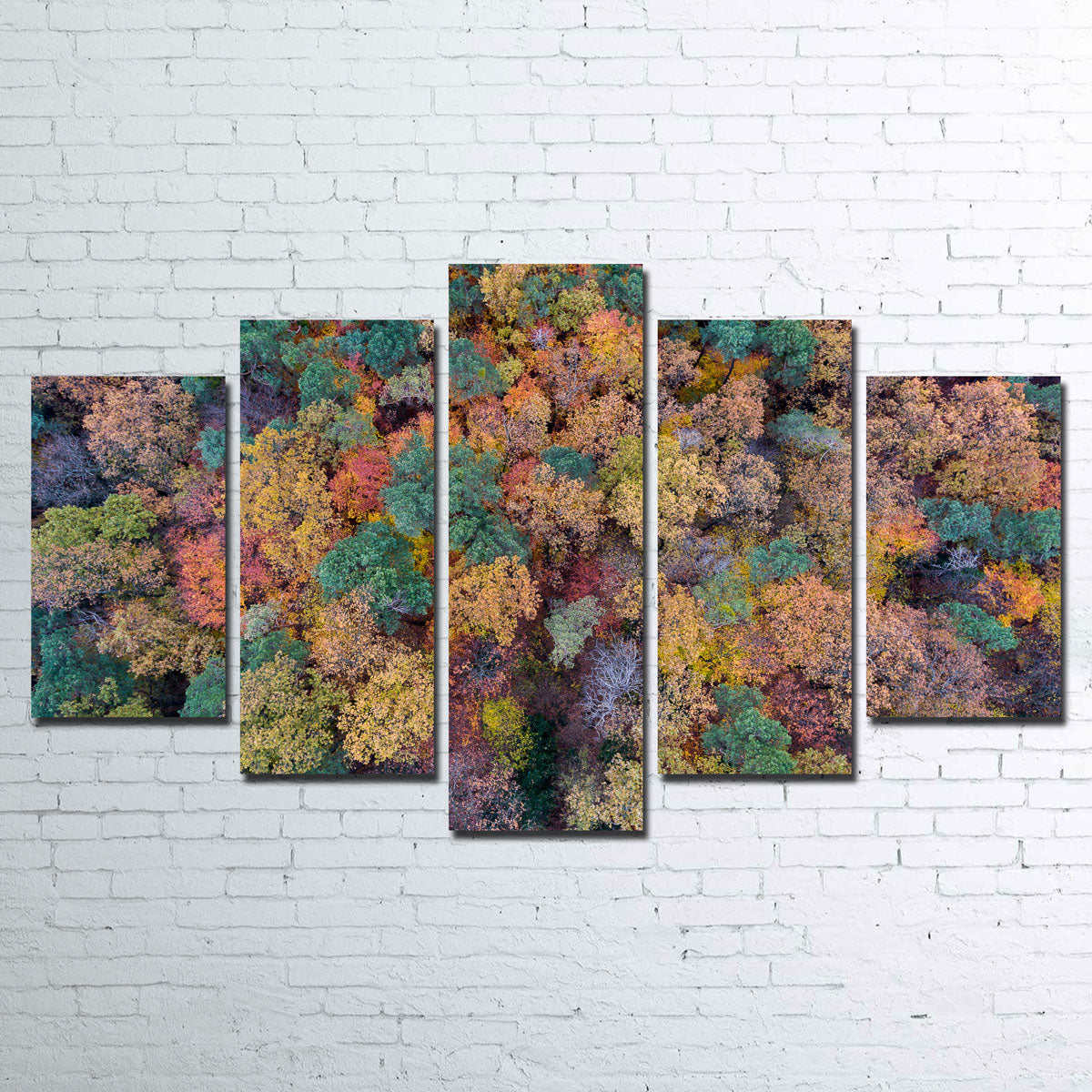 Aerial Fall Wall Art