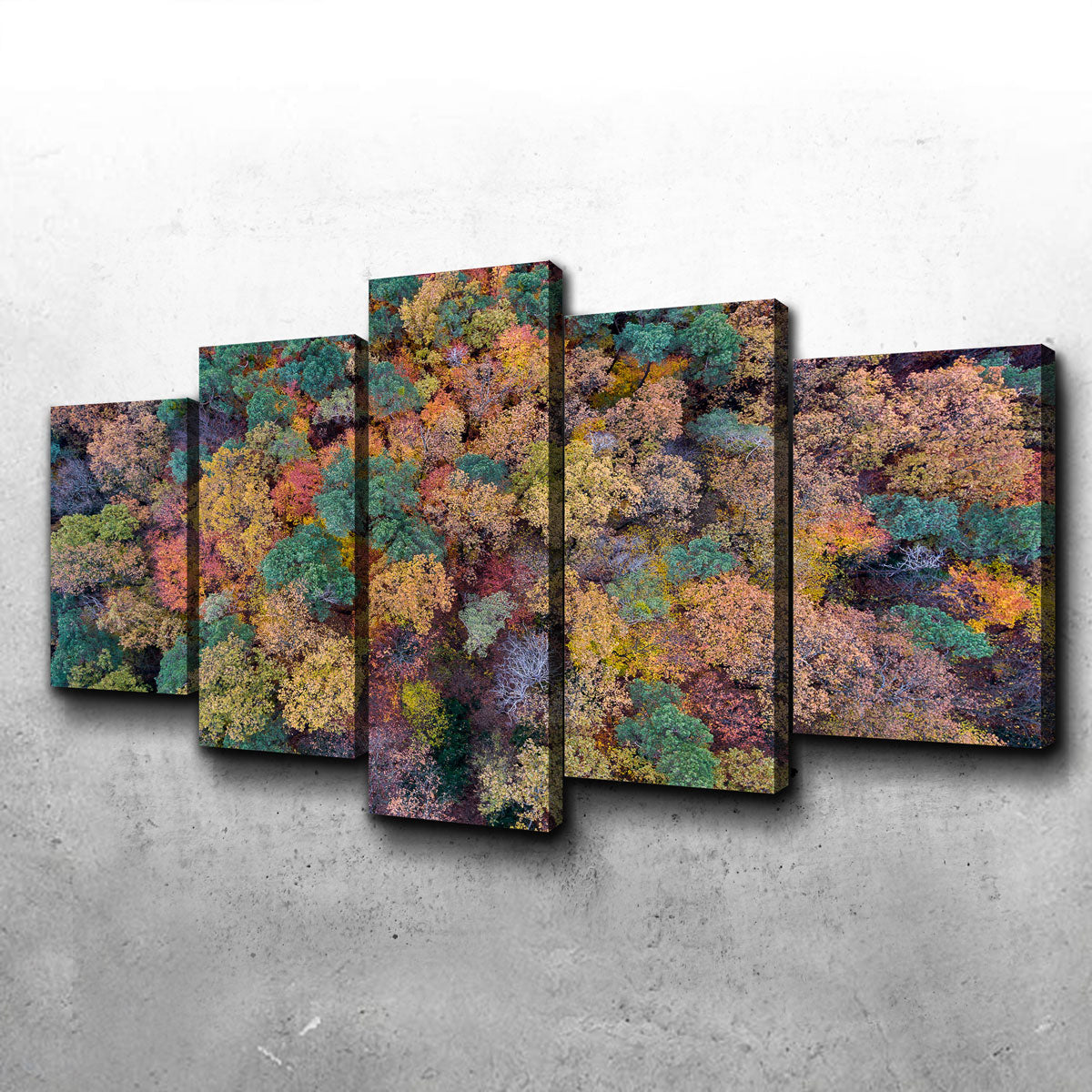 Aerial Fall Wall Art