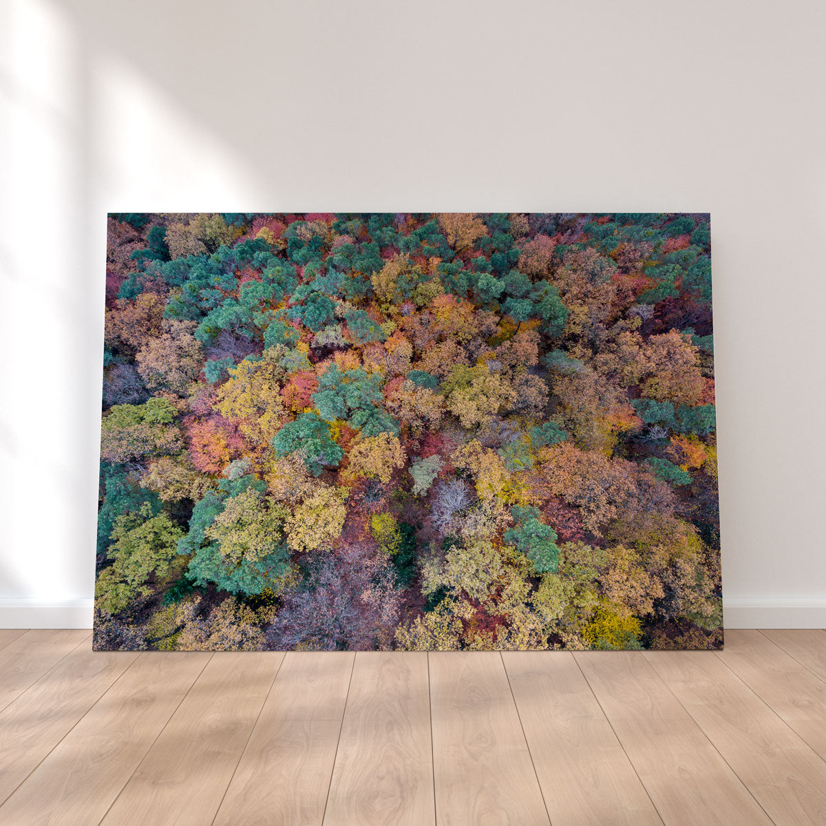Aerial Fall Wall Art
