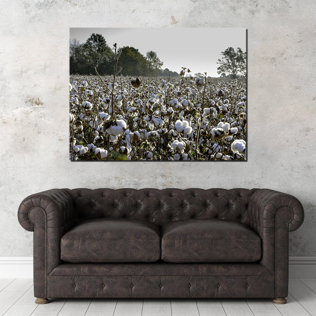 Alabama Cotton Field Wall Art