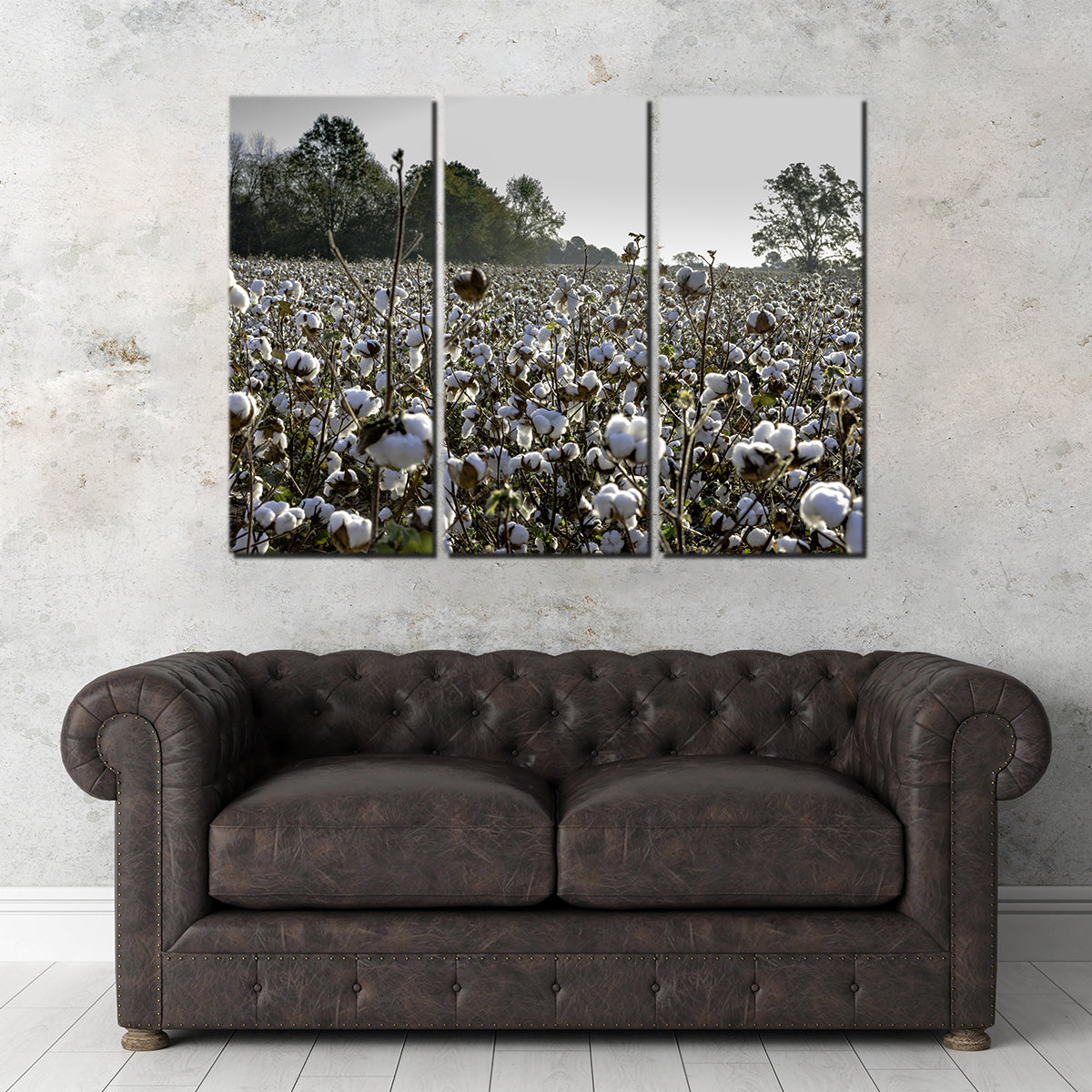 Alabama Cotton Field Wall Art