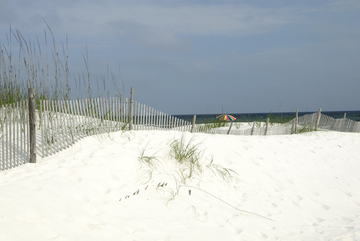 Alabama Gulf Coast Wall Art