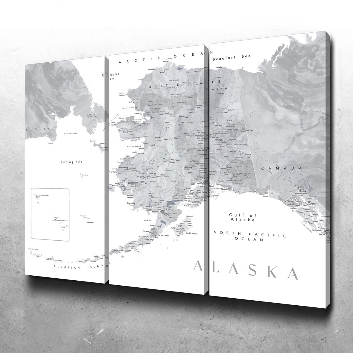 Alaska Map 2 Wall Art