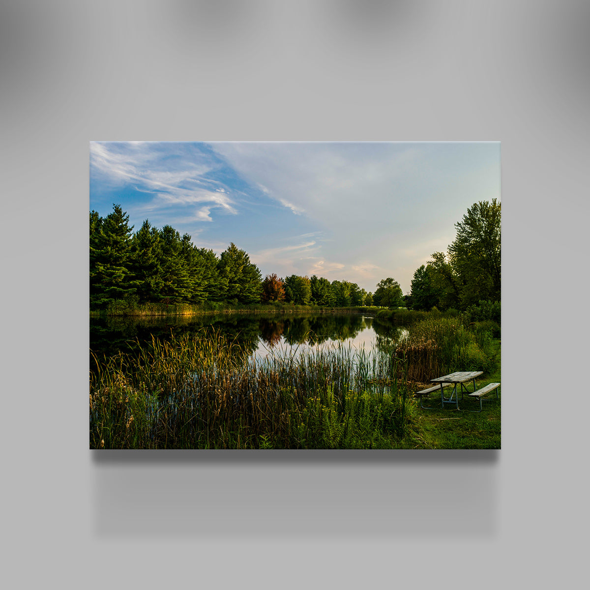 Alum Creek Fishing Pond Wall Art