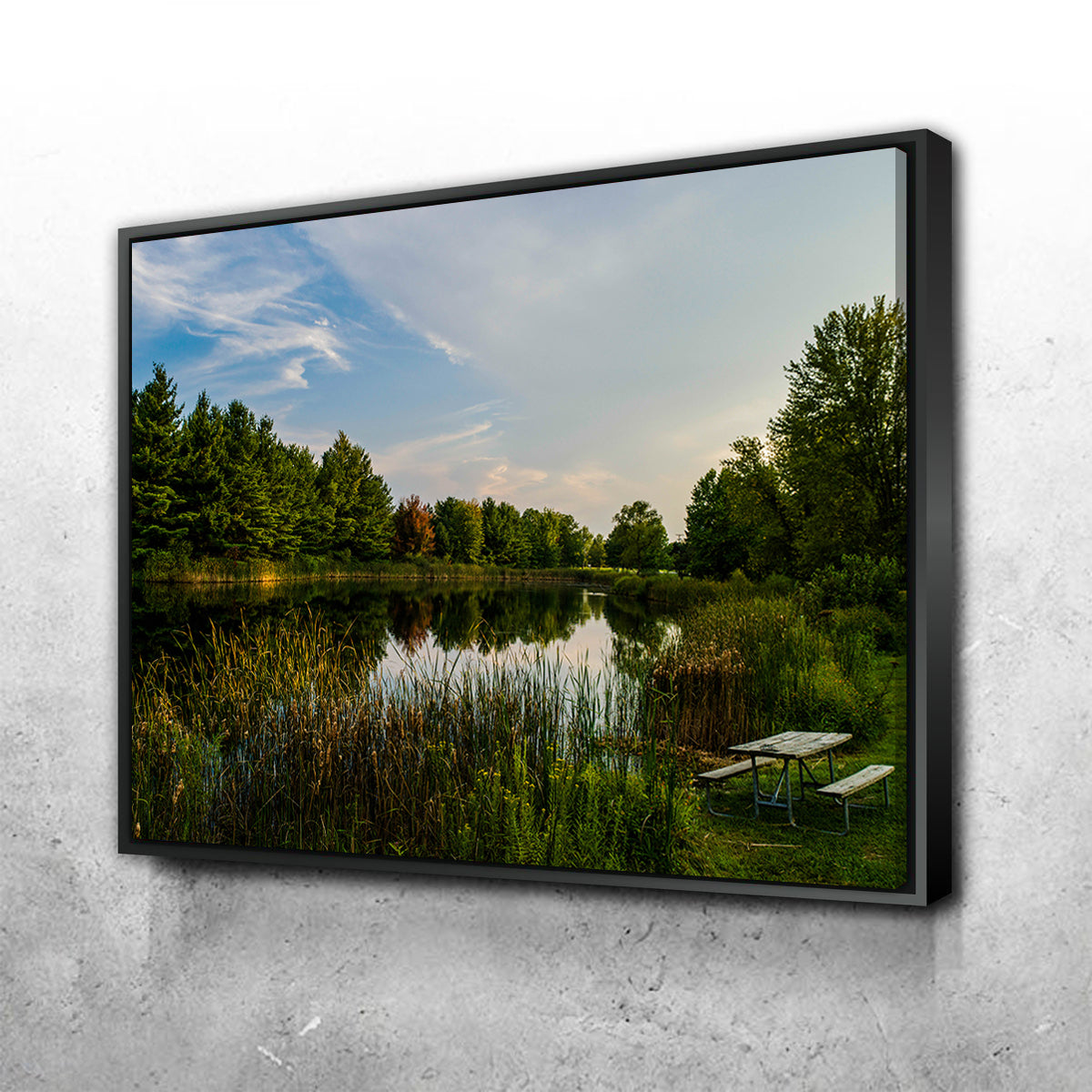 Alum Creek Fishing Pond Wall Art