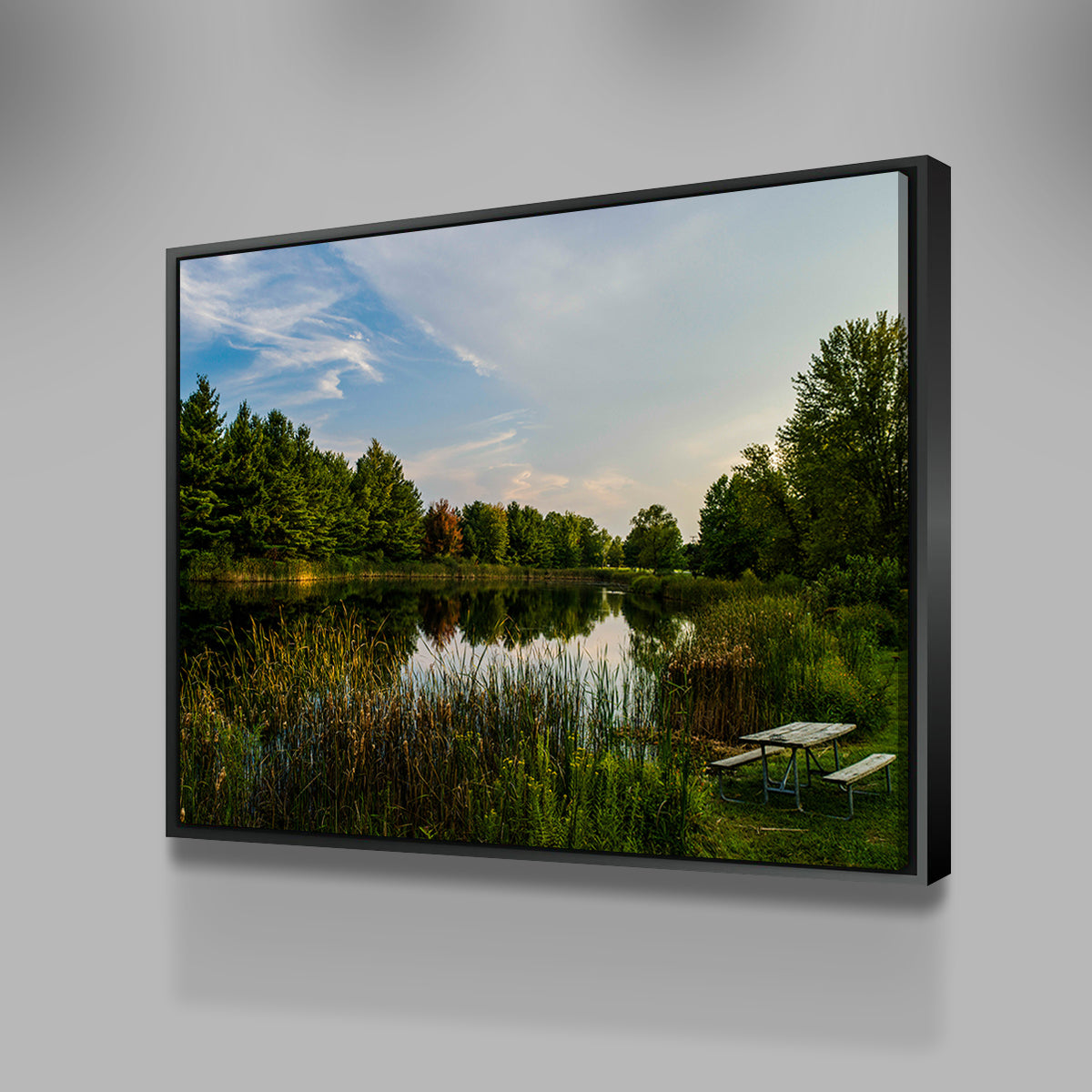 Alum Creek Fishing Pond Wall Art