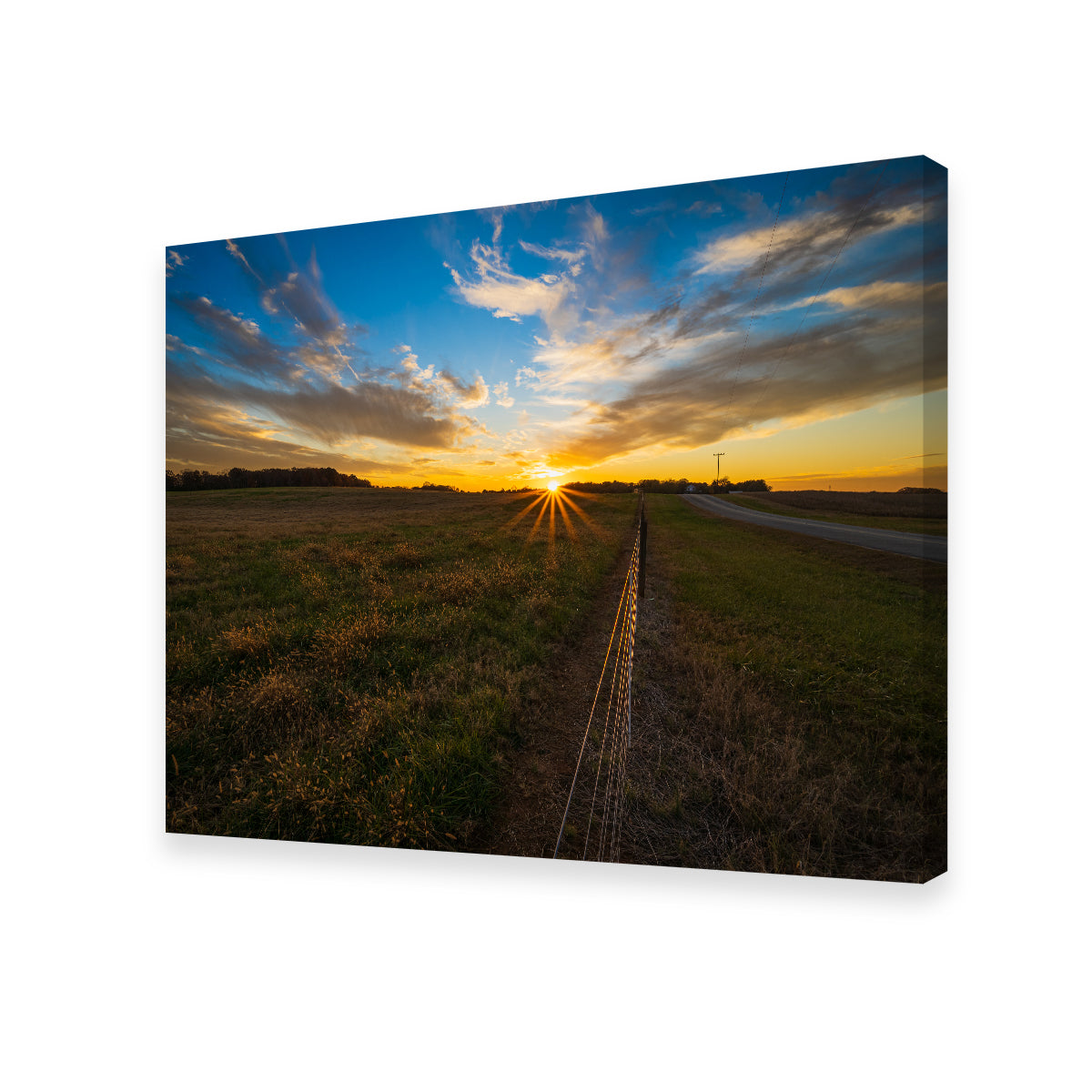 Anderson South Carolina Wall Art