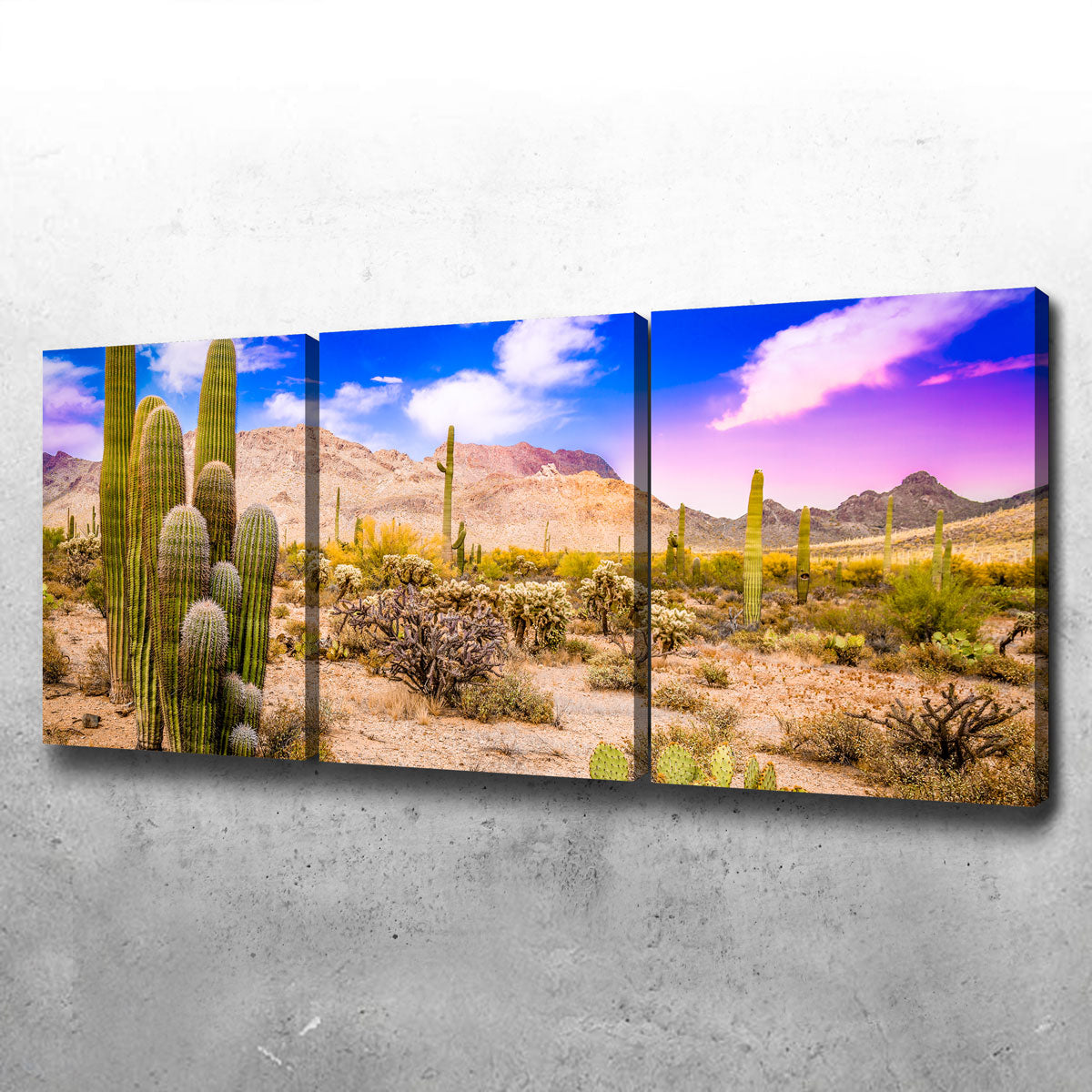 Arizona Desert Springtime Wall Art