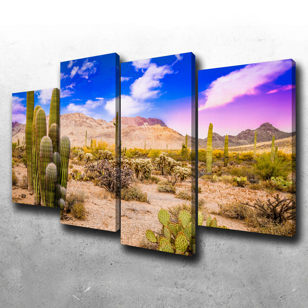 Arizona Desert Springtime Wall Art