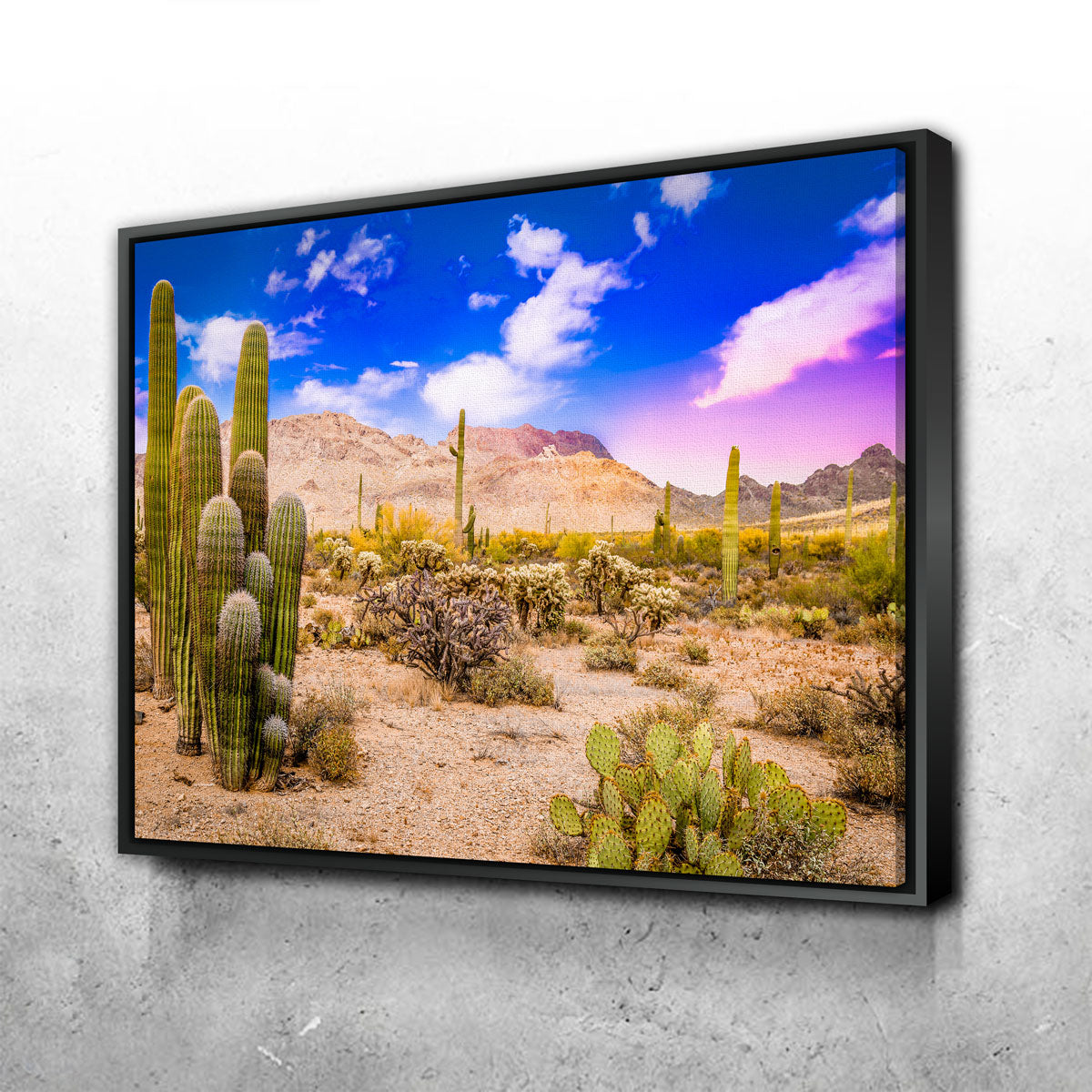 Arizona Desert Springtime Wall Art