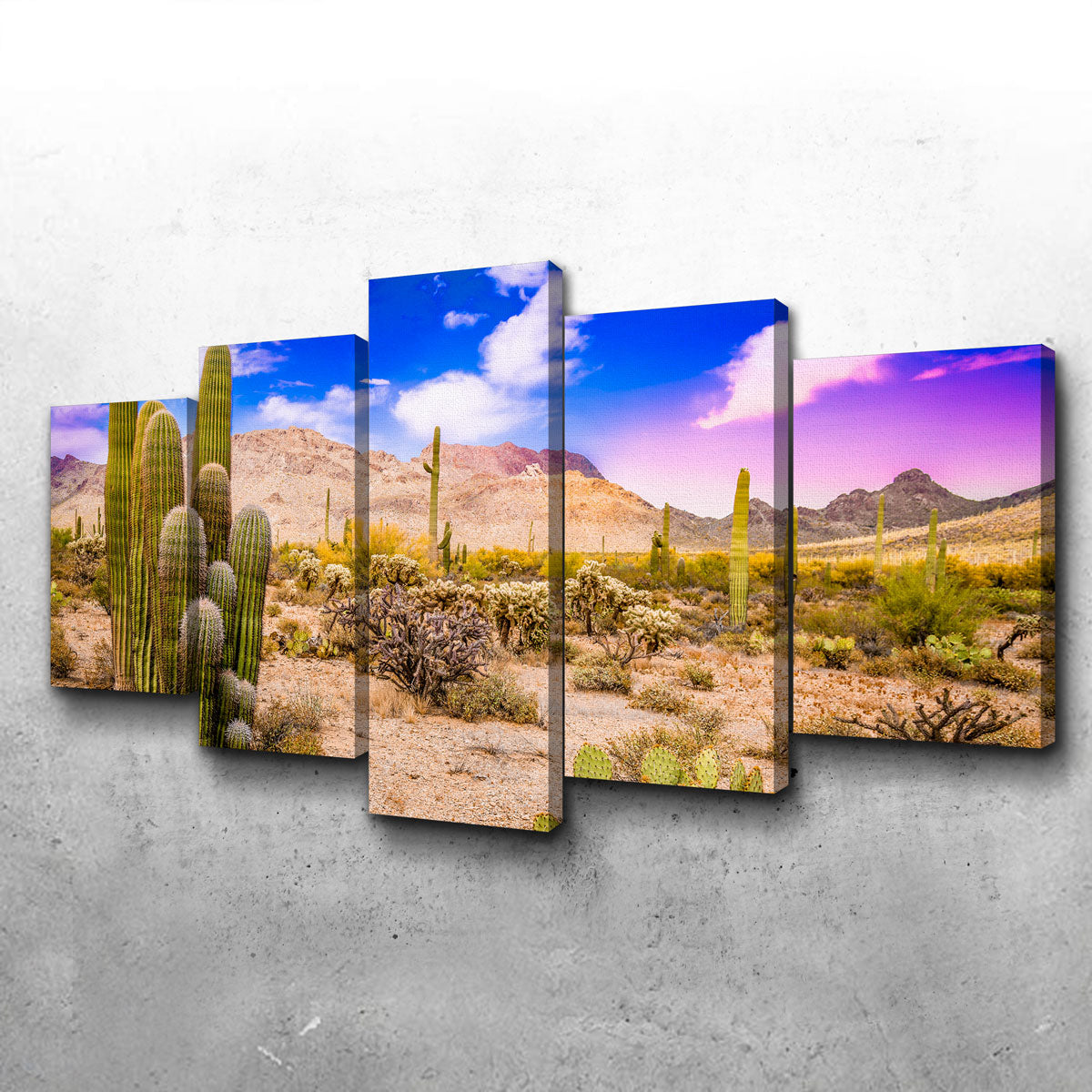 Arizona Desert Springtime Wall Art