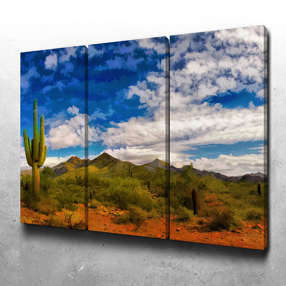 Arizona Desert Wall Art