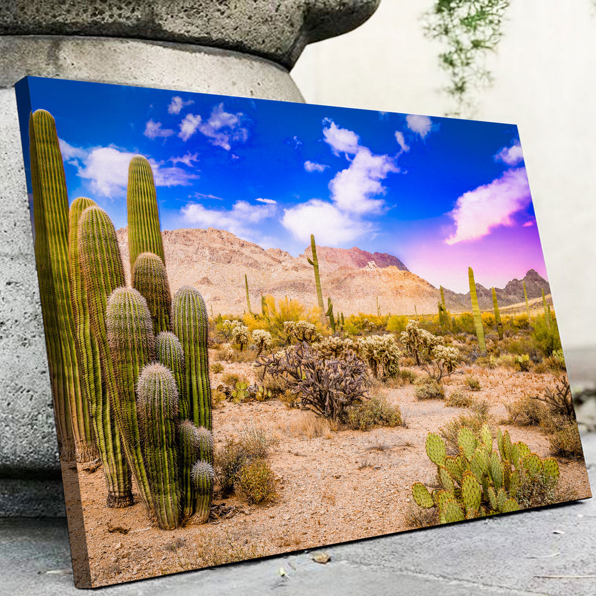 Arizona Desert Springtime Wall Art