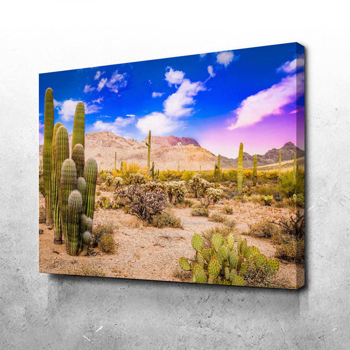 Arizona Desert Springtime Wall Art