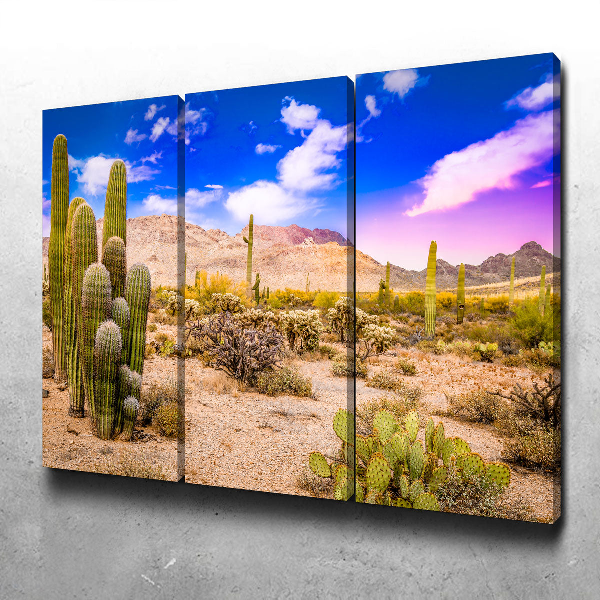 Arizona Desert Springtime Wall Art