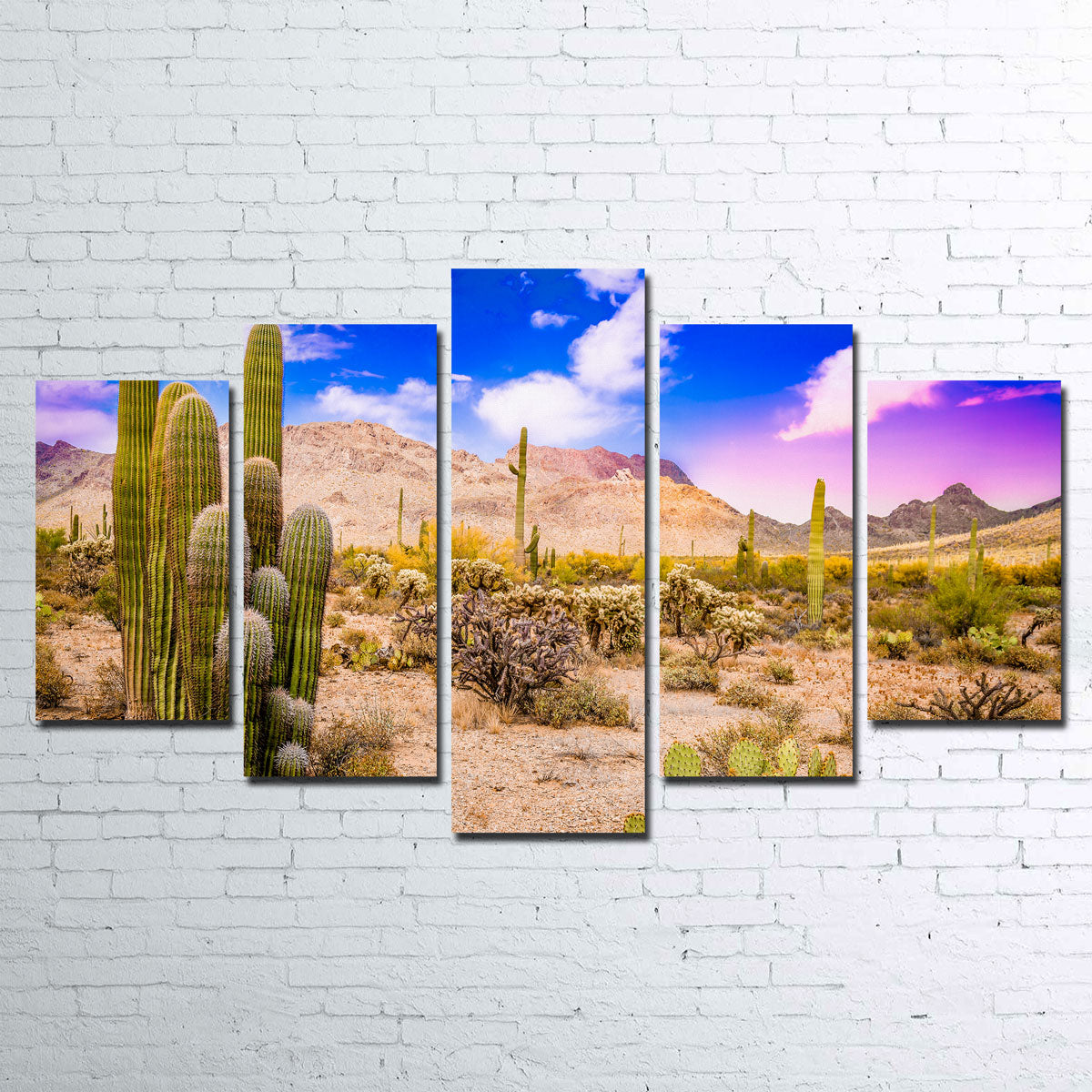 Arizona Desert Springtime Wall Art