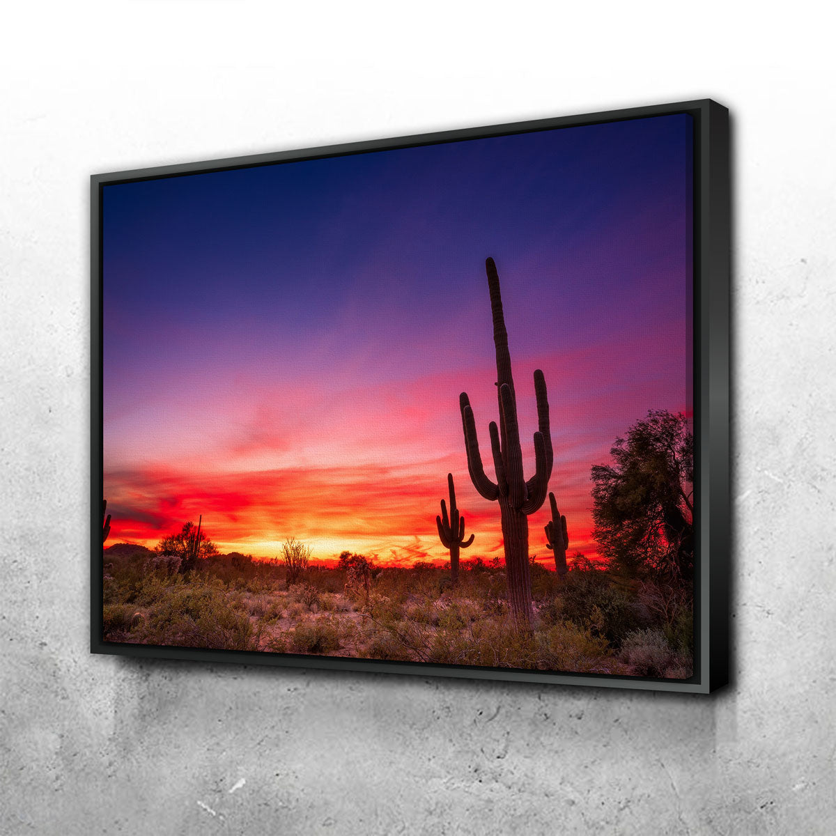Arizona Landscape Wall Art