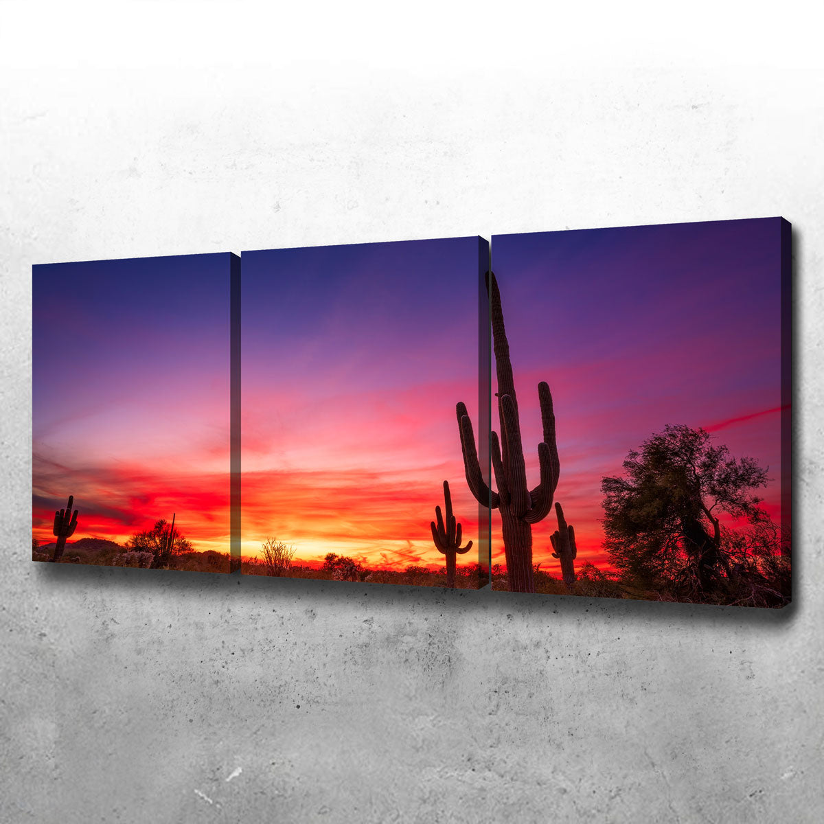 Arizona Landscape Wall Art