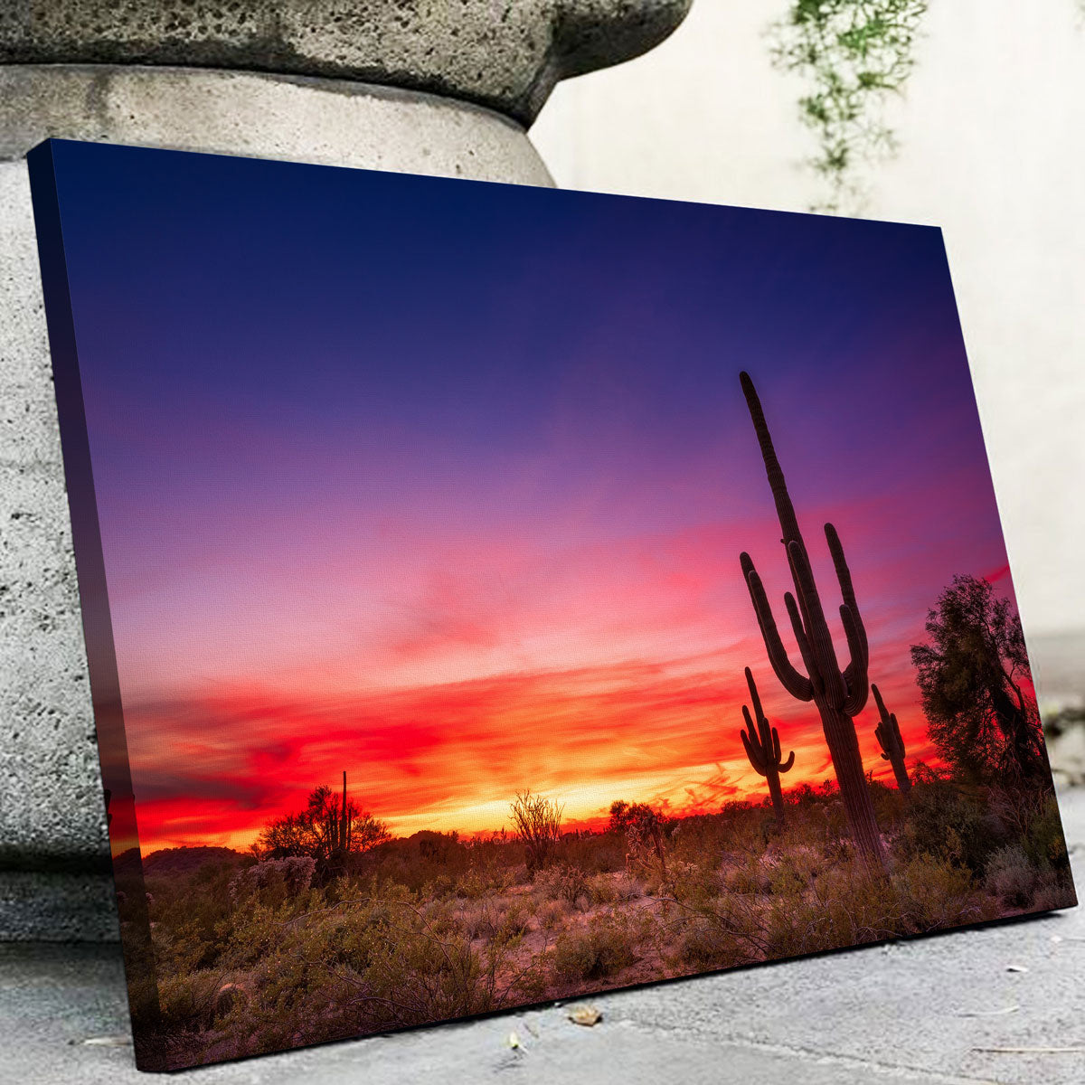 Arizona Landscape Wall Art